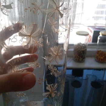 A101 Mağazasında Çatlak Ürün Ve Fiş Olmadan Değişim Sorunu