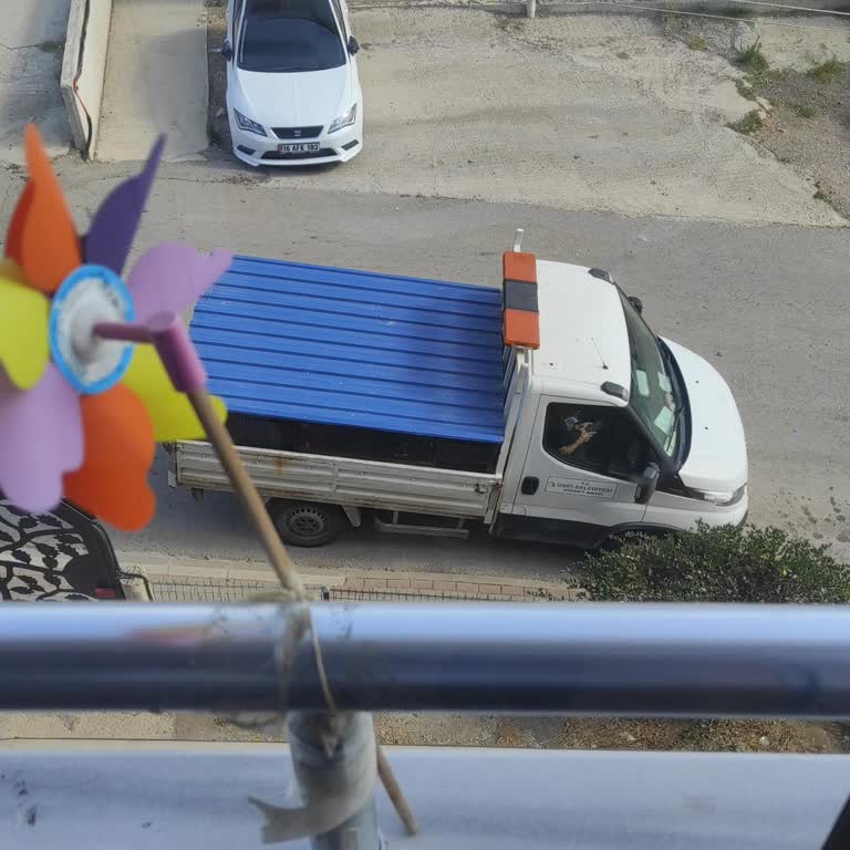 Yaralı Kedinin Akıbeti Hakkında Bilgi Eksikliği Ve Belediyenin Çelişkili Yanıtları