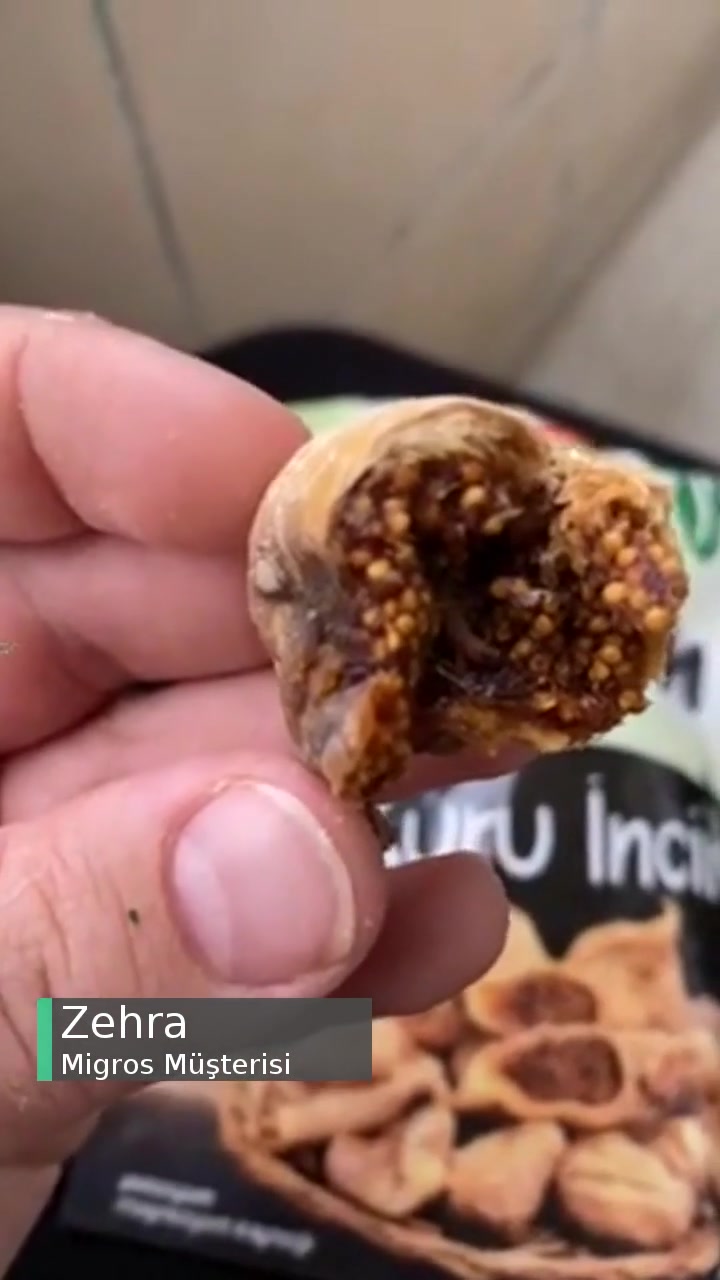 Migros'tan Aldığım Aydın Kırdağ Markalı Kuru İncirden Kurt Çıktı! videonun kapak resmi