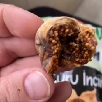 Migros'tan Aldığım Aydın Kırdağ Markalı Kuru İncirden Kurt Çıktı!