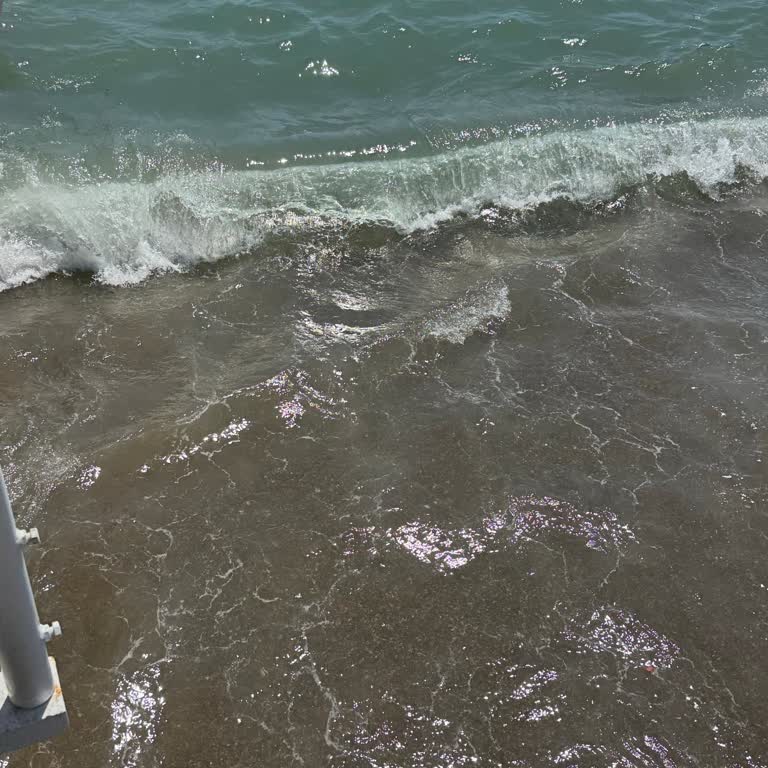 Delphin Be Grand Resort'ta Müşteri Memnuniyetsizliği Ve Yetersiz Hizmet Deneyimi