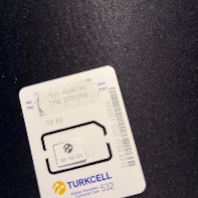 Numara Taşıma Sürecinde Güvenlik Sorusu Ve Müşteri Hizmetleri Sorunları