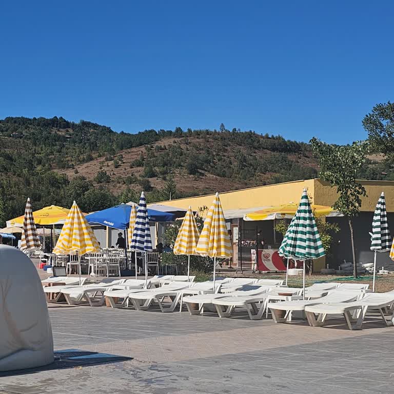 River Milli Park Otelde Arı Sorunu Ve Eşitsiz Hizmet Deneyimi