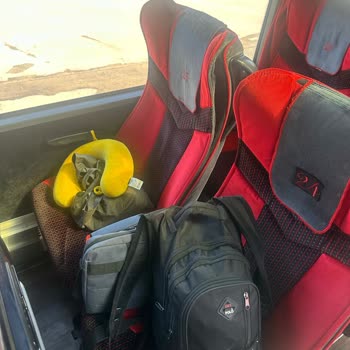 Otobüs Düzeni Ve Valiz Hasarı Nedeniyle Yaşanan Mağduriyet