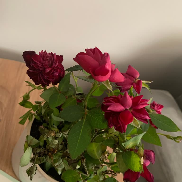 Sipariş Edilen Çiçeklerin Kalitesi ve Teslimat Sorunu