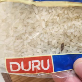 Duru Bulgur Satın Aldığım Pirinçte Güve Çıkması Ve Müşteri Hizmetlerinden Dönüş Alamama!