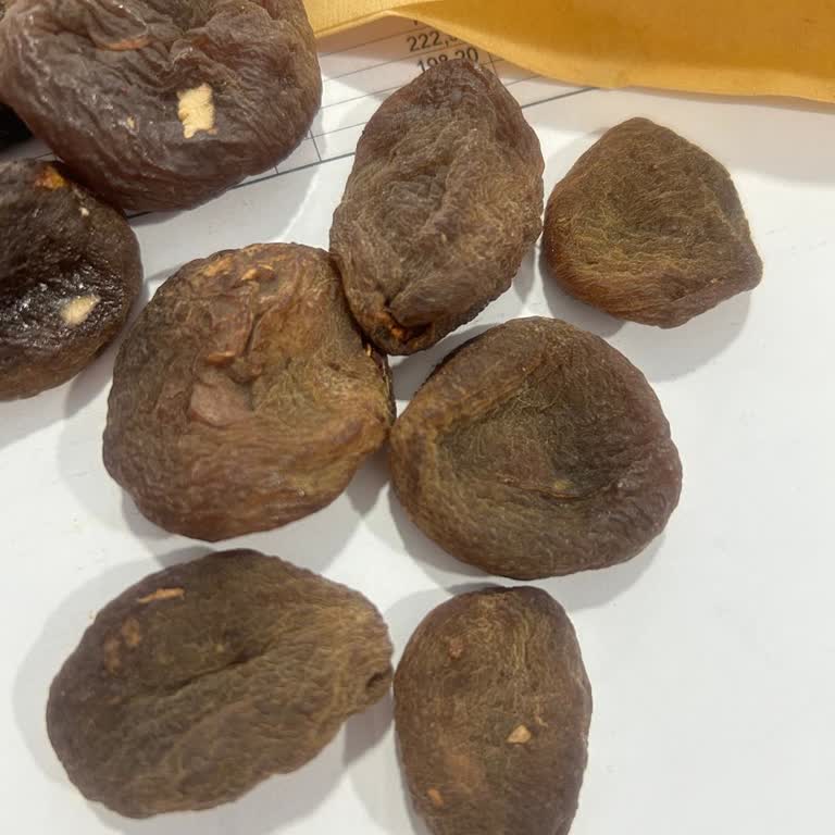 Harras Taze Alınan Kayısıda Bozulma Ve Kötü Koku Sorunu