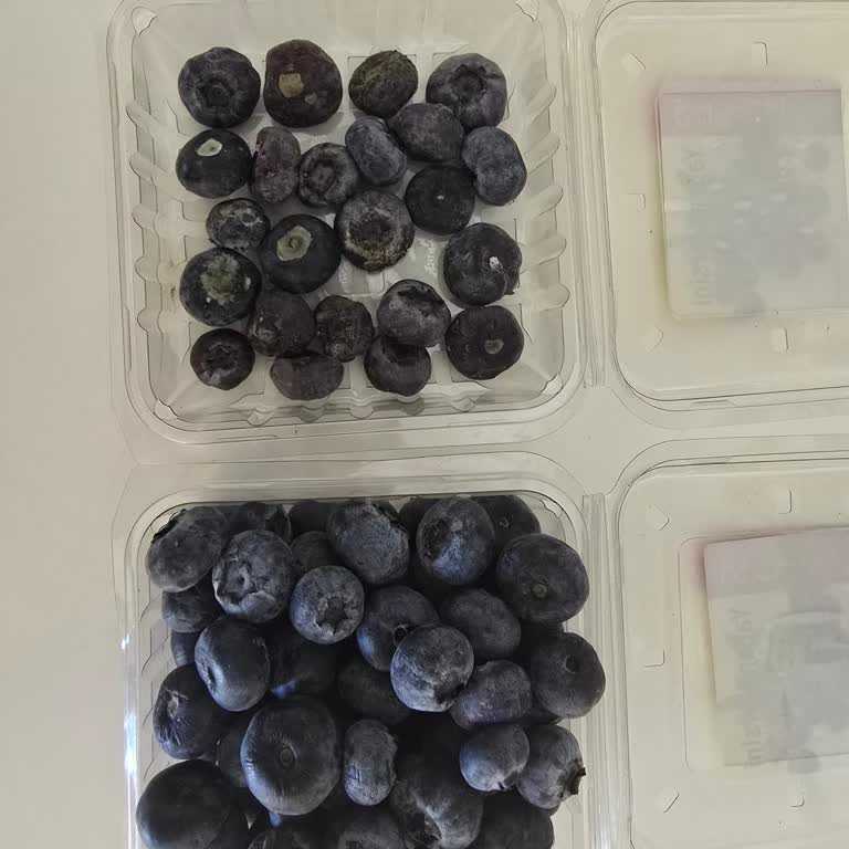 Migros’tan Bozuk Yaban Mersini Gönderildi: Kaliteye Dikkat Edilmiyor