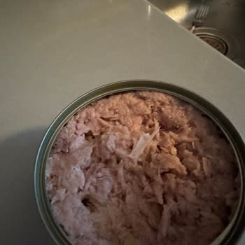 Ton Balığı Konservesinde Kılçık Çıkması Nedeniyle Yaşanan Mağduriyet