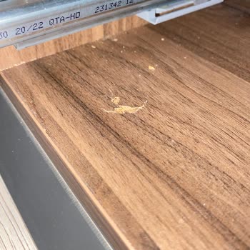 Teşhir Ürünü Kırık Ve Hasarlı Teslim Edildi, İade Hakkım Reddedildi