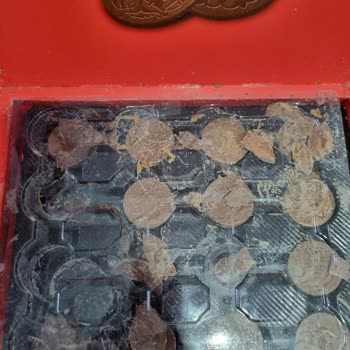 Elvan Gıda'dan Ambalajı Açık Ve Bozuk Çikolata Teslimatı