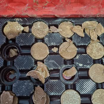 Elvan Gıda'dan Ambalajı Açık Ve Bozuk Çikolata Teslimatı