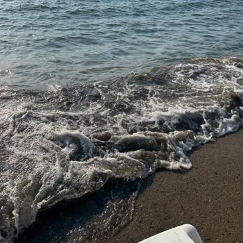 Dragut Point Hotel Bodrum'da Beklentilerin Altında Kalan Tatil ve İade Sorunu