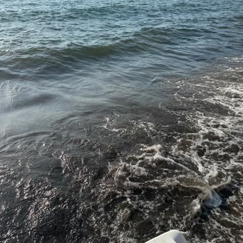 Dragut Point Hotel Bodrum'da Beklentilerin Altında Kalan Tatil ve İade Sorunu