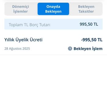 Her Yıl Kesilen Kredi Kartı Üyelik Ücretinin İadesini Talep Ediyorum