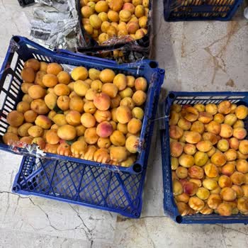 Hasarlı Kargo Ve Fatura Sorunu: Mağduriyetim Giderilmiyor