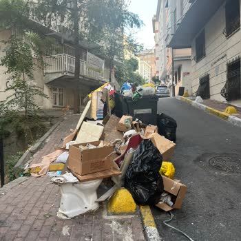 Mahallede Biriken Atıkların Yol Açtığı Tehlikeler Hakkında Şikayet