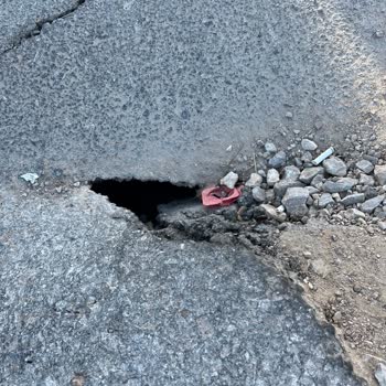 Asfaltlanmayan Yolun Oluşturduğu Güvenlik Riski Hakkında Şikayet