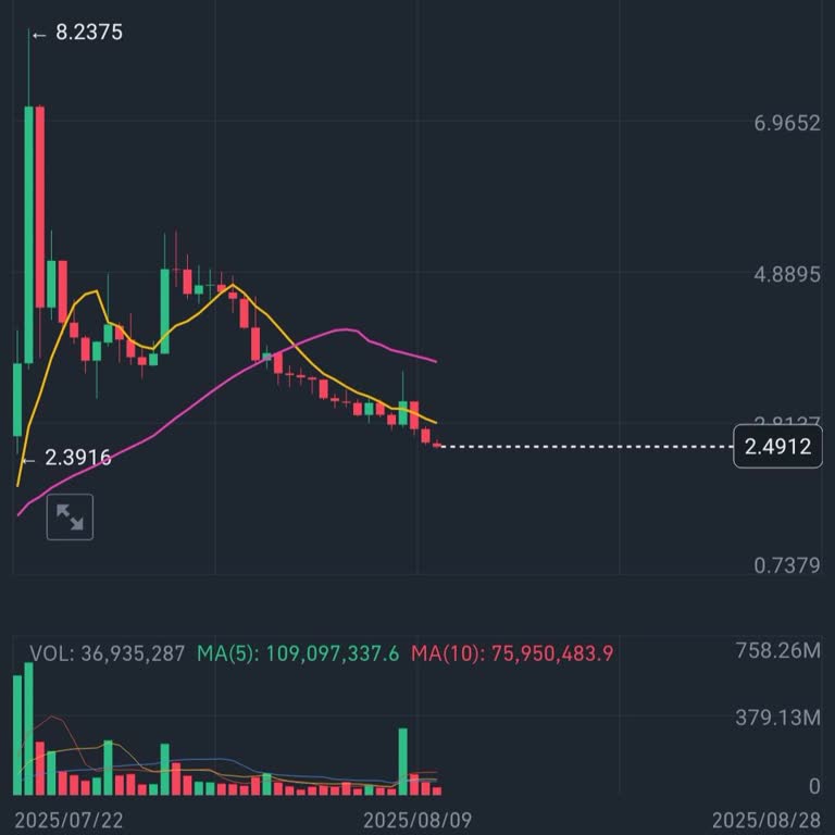 Spark SPK Coin'de Sürekli Değer Kaybı Ve Binance'ın Yetersiz Desteği Nedeniyle Mağduriyet