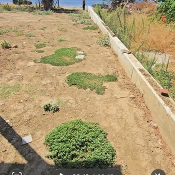 Erdek Belediyesi Mahalle Sakinlerinin Sahile Ulaşım Yolunun Kapatılması Nedeniyle Mağduriyet