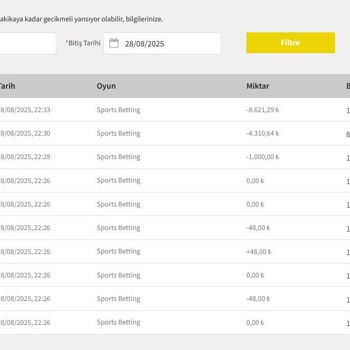 Hesabımdan İzinsiz Oyun Oynanıp Bakiyem Çekildi, Mağduriyetimin Giderilmesini İstiyorum