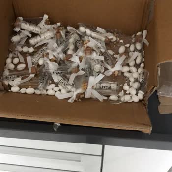 Kırık Nikah Şekeri Ve İletişimsizlik Mağduriyeti