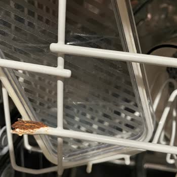 Arçelik 6230S Bulaşık Makinesinde Kronik Paslanma Sorunu Ve Çözüm Eksikliği