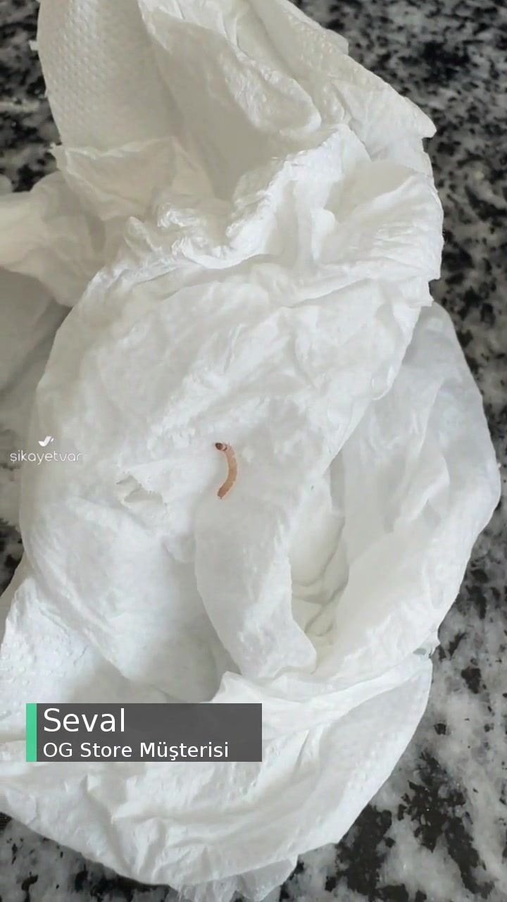 OG Store Bebek Ürününden Kurt Çıktı videonun kapak resmi