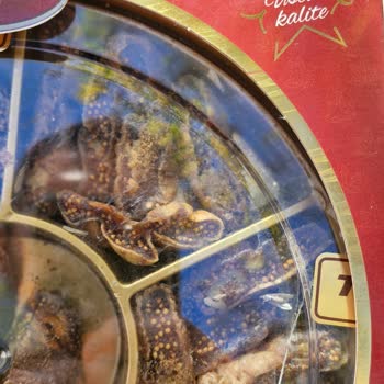 Tuğba Kuruyemiş Aldığım Cevizli İncirlerde Böcek Ve Örümcek Sorunu