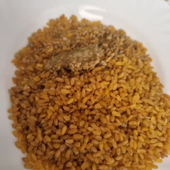 Aldığım Pilavlık Bulgurun İçinden Küflenmiş Parça Çıktı, Para İadesi Talep Ediyorum