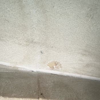 ÇimStone Garanti Verilen Mutfak Tezgahı 4 Yılda Çatladı, Firma İlgilenmedi