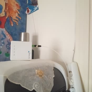 Vodafone Ev İnterneti Başvurumda Kurulum Gecikiyor, Mağduriyetim Artıyor