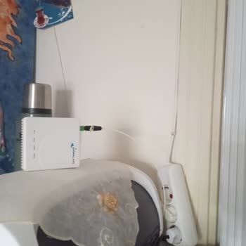 Vodafone Ev İnterneti Başvurumda Kurulum Gecikiyor, Mağduriyetim Artıyor