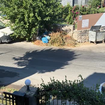 Mahallede Süregelen Gürültü ve Temizlik Sorunları Hakkında Şikayet