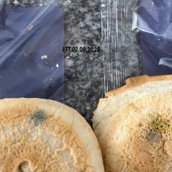 Son Kullanma Tarihi Geçmemiş Hamburger Ekmeğinde Küf Şoku