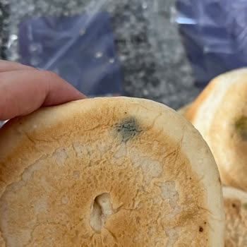 Son Kullanma Tarihi Geçmemiş Hamburger Ekmeğinde Küf Şoku