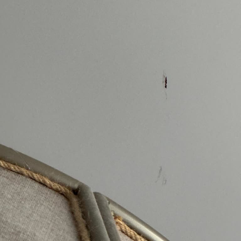 Sivrisinek Sorunu Tatilimizi Mahvetti