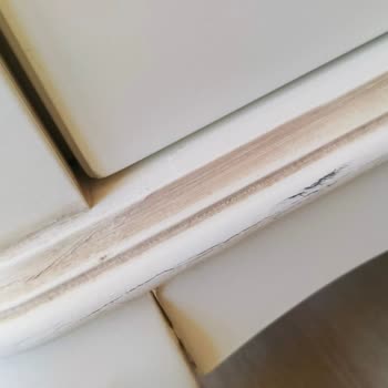 Taşınma Sonrası Eşyalarım Zarar Gördü, Firma Sorunumu Çözmüyor