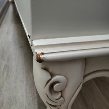 Taşınma Sonrası Eşyalarım Zarar Gördü, Firma Sorunumu Çözmüyor