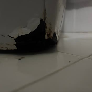 Garanti Kapsamındaki Çamaşır Makinesinde Çürüme Ve Destek Eksikliği