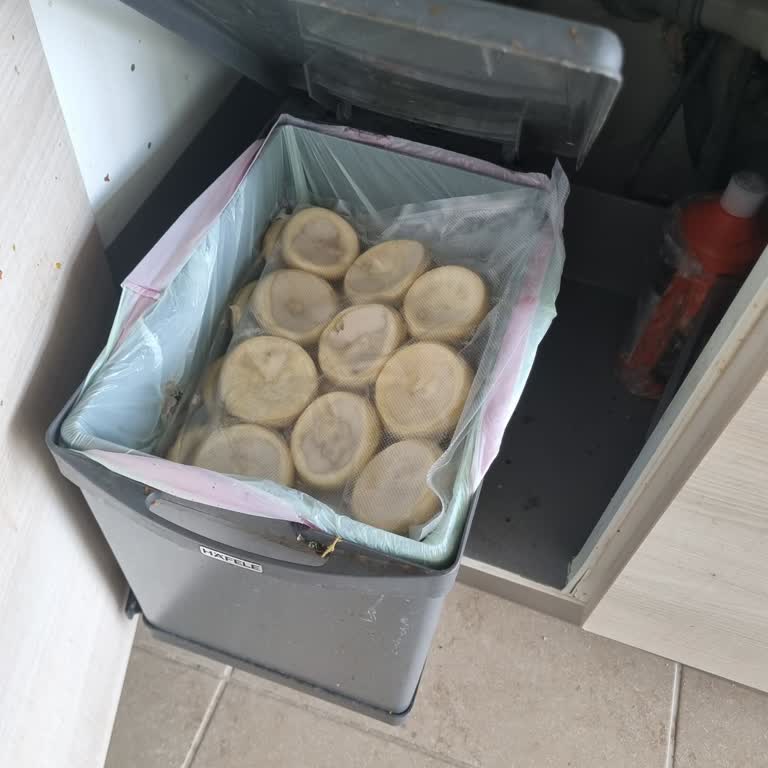 Bozulmuş Enginar Teslimatı Ve Firma Dönüşü Sorunu