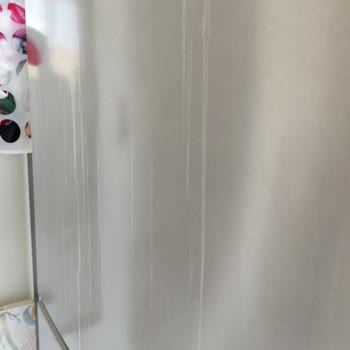 Vestel Inox Buzdolabında Boya Kusması ve Yetersiz Garanti Hizmeti