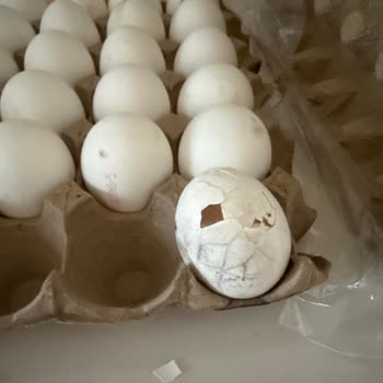 Satın Alınan Yumurtaların Çatlak Ve Bozuk Çıkması