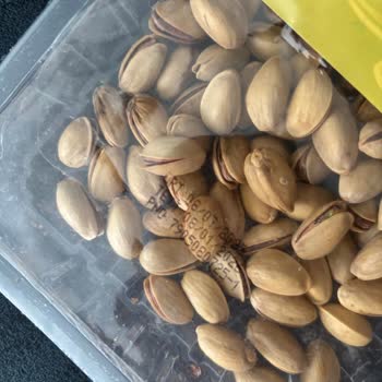 File Marketten Aldığım Siirt Fıstığında Böceklenme Ve Mağduriyet