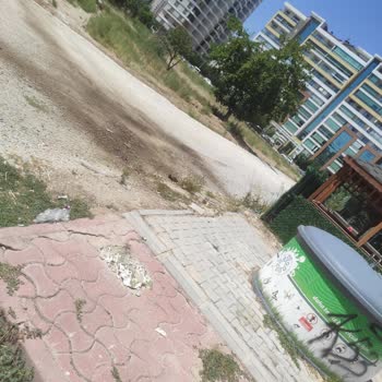 Çöp Toplama Sırasında Hijyen Eksikliği Mahallede Sağlık Sorunlarına Yol Açıyor