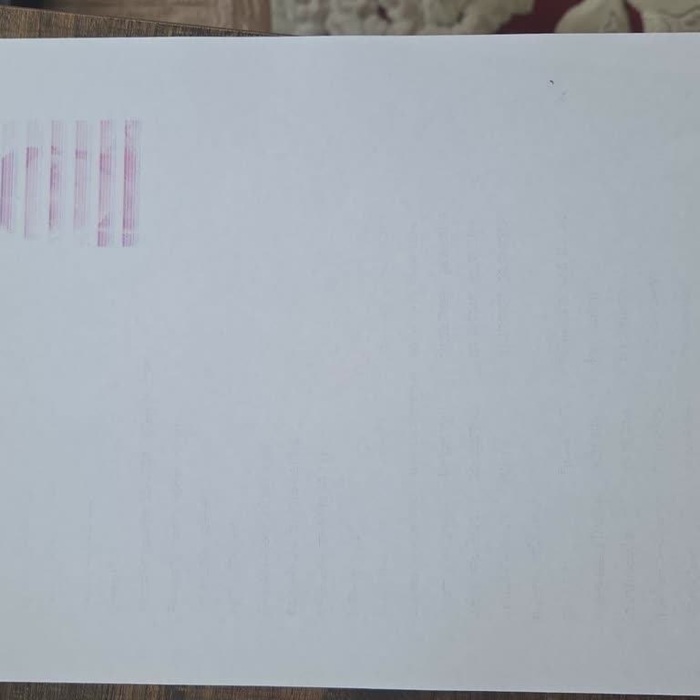 Epson Ecotank 3252 Yazıcıda Sürekli Silik Baskı Ve İade Sorunu