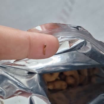 Aldığım Kajudan Kurt Çıkması Nedeniyle Hijyen Endişesi Yaşadım