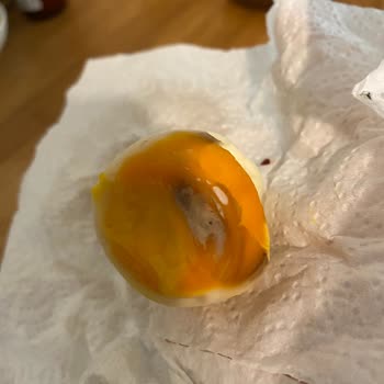 Bozuk Yumurtaya Çözüm Bulunmadı, İade Talebim Karşılanmadı