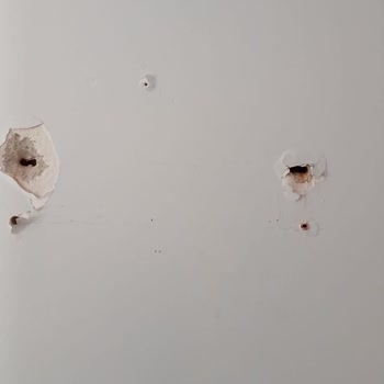 LG Yetkili Servis Montajında Duvar Zarar Gördü, Televizyon Kullanılamıyor