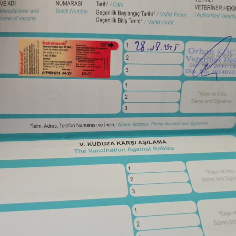 Köpeğime Yapılan Aşı Sonrası Yaşanan Ciddi Sağlık Sorunu Ve İlgisizlik